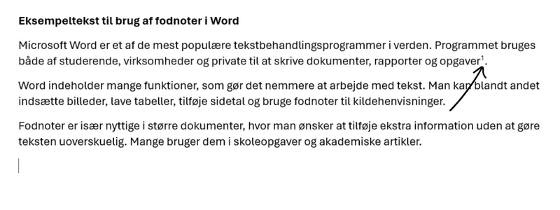 Sådan ser fodnoten ud i tekst