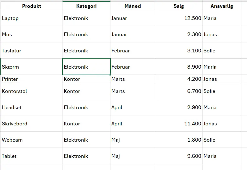 Datasæt i Excel